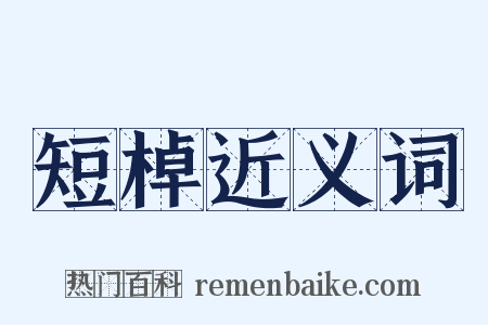 短棹近义词是什么意思的图片